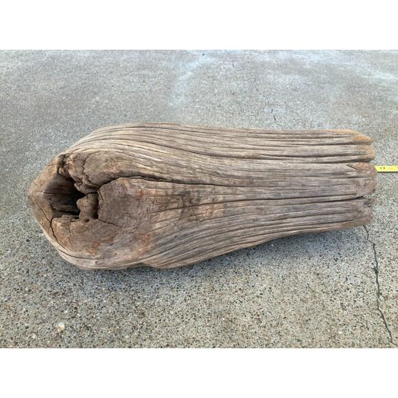 Ohio River Driftwood 13"x4.5"x5.5" - Picture 3 of 3